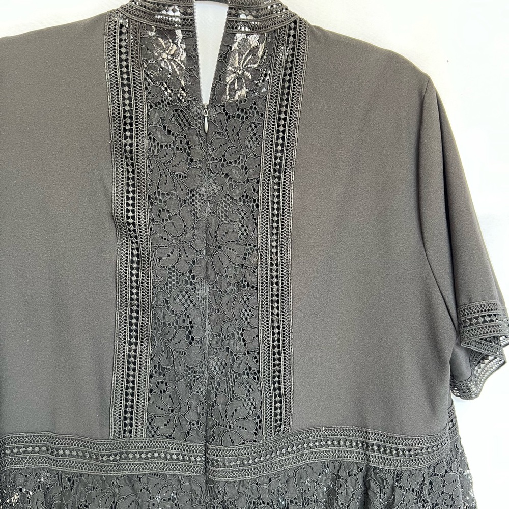 Sheer Pullover Blouse - image 3